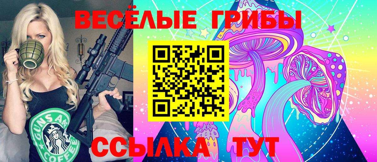 Псилоцибиновые грибы Cubensis Протвино