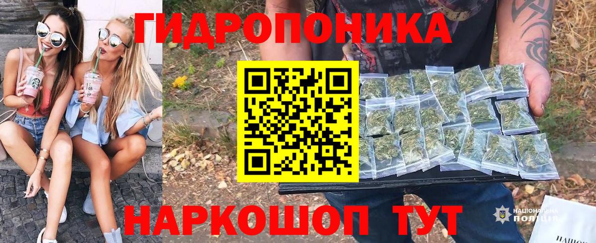 Марихуана семена Протвино